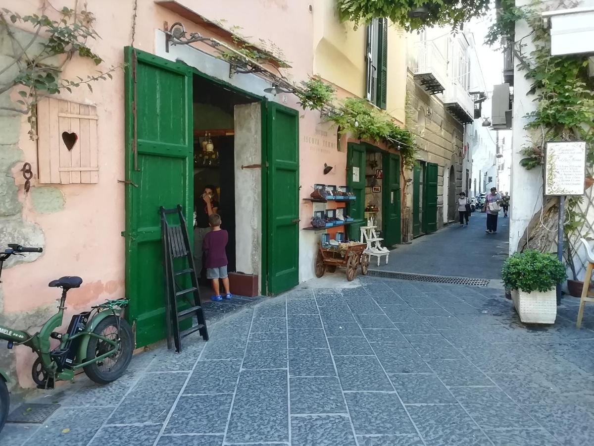 مبيت وإفطار Forio di Ischia La Bicocca Di Annavi المظهر الخارجي الصورة